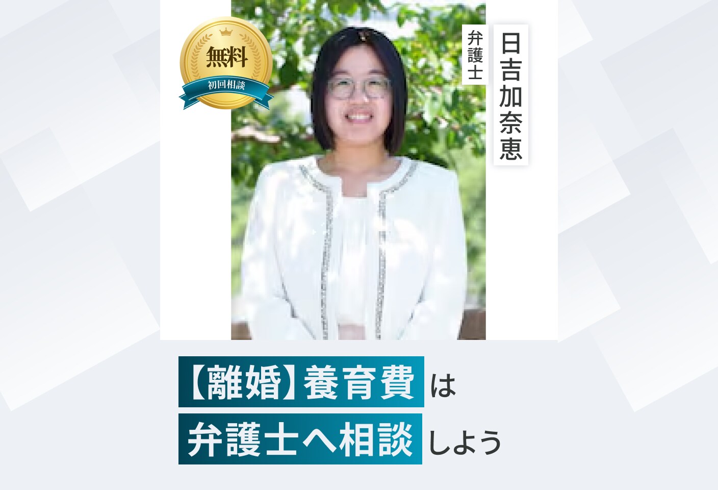 日吉 加奈恵弁護士の養育費についての詳細ページ