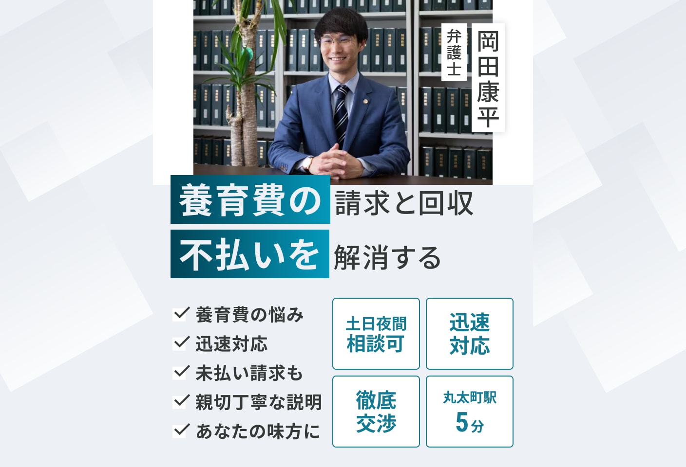 岡田 康平弁護士の養育費についての詳細ページ