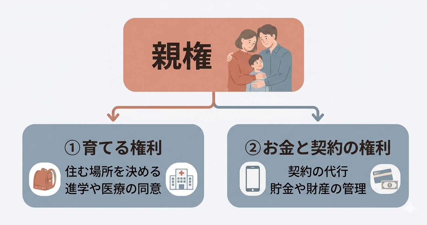 親権の概要を説明する図