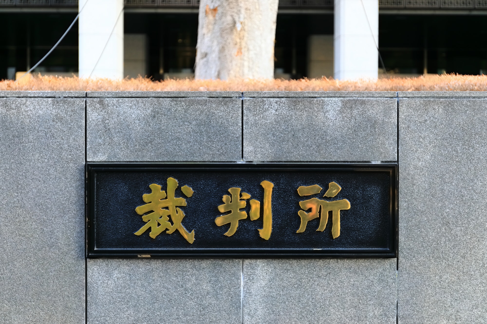 舞台になった東京地裁（kazukiatuko / PIXTA）