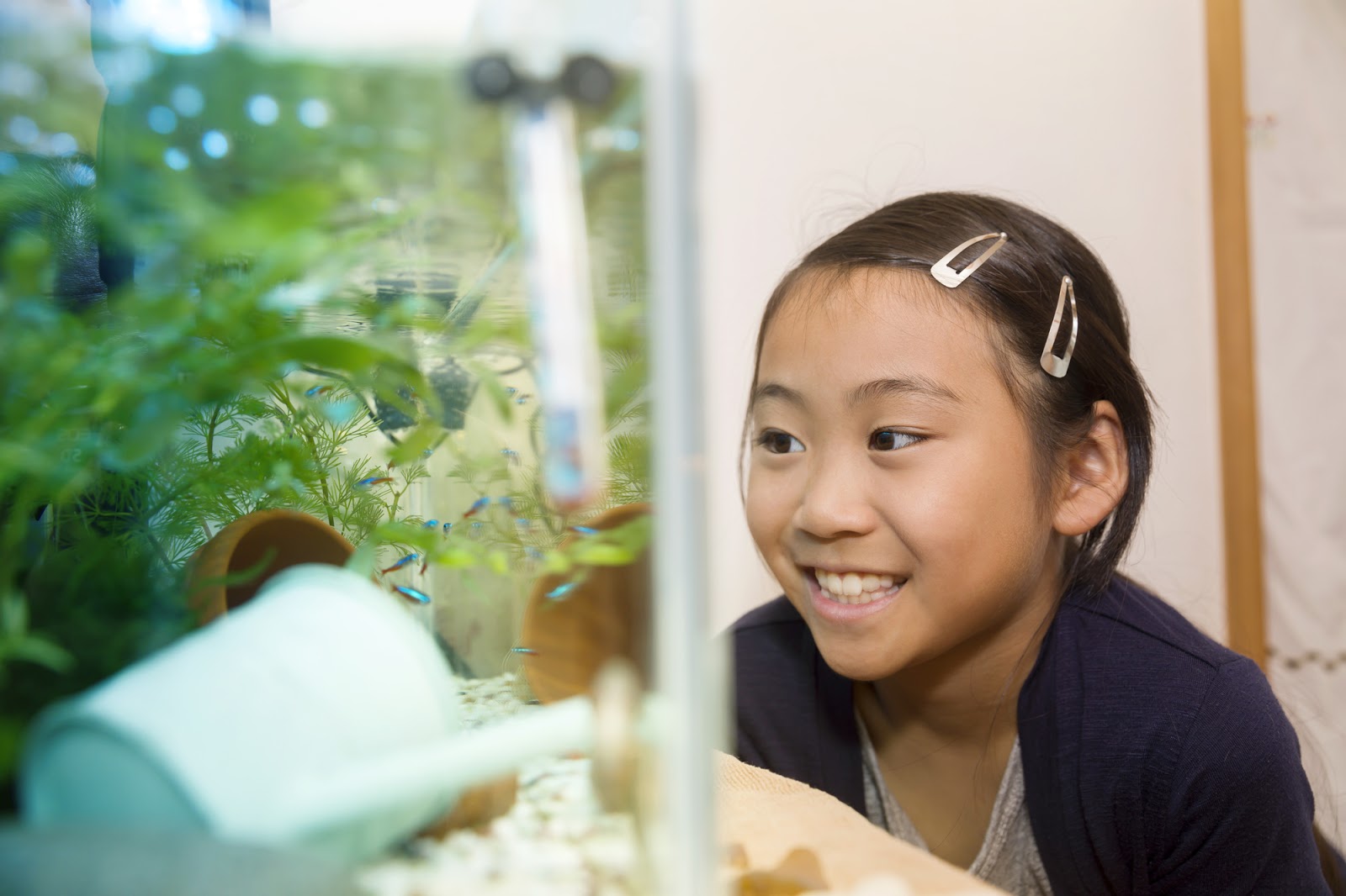 写真はイメージです（sasaki106 / PIXTA）