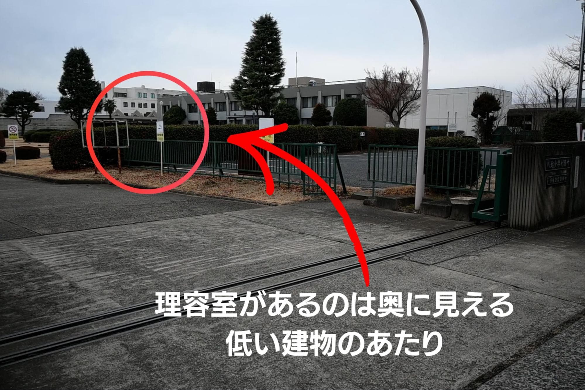 画像タイトル