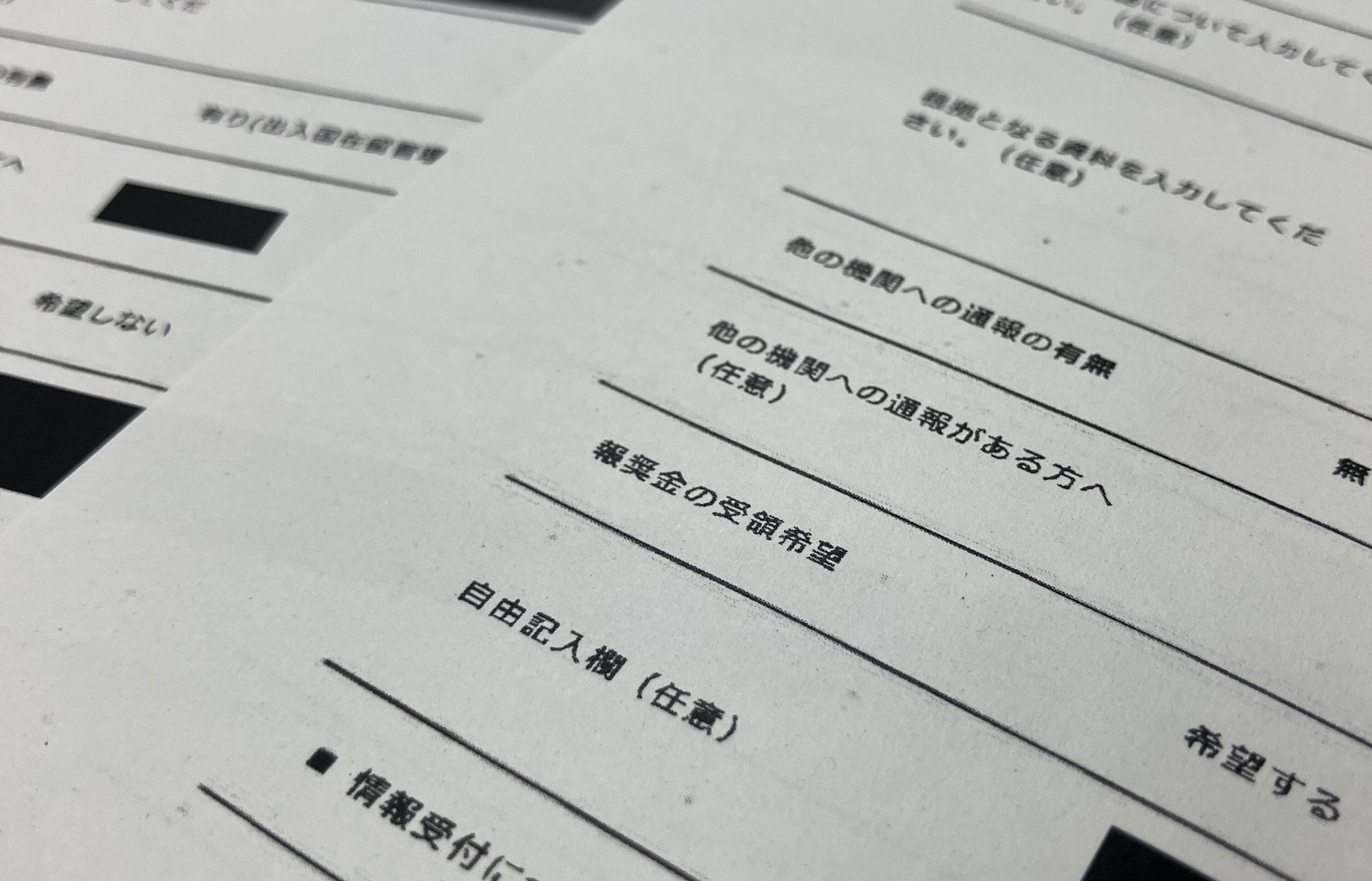 画像タイトル